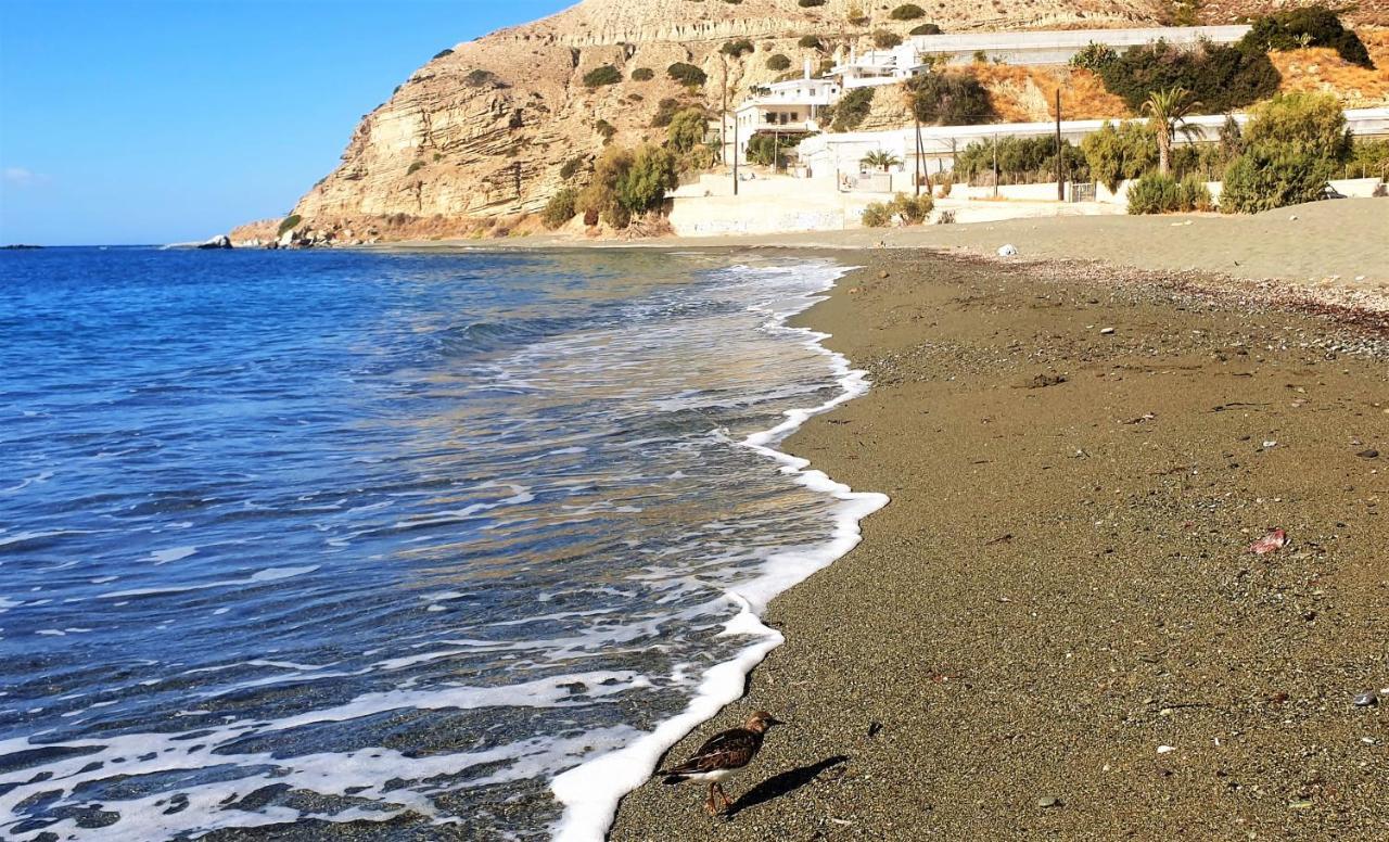 Villa Tzortzaki - Afroditi Tertsa Εξωτερικό φωτογραφία